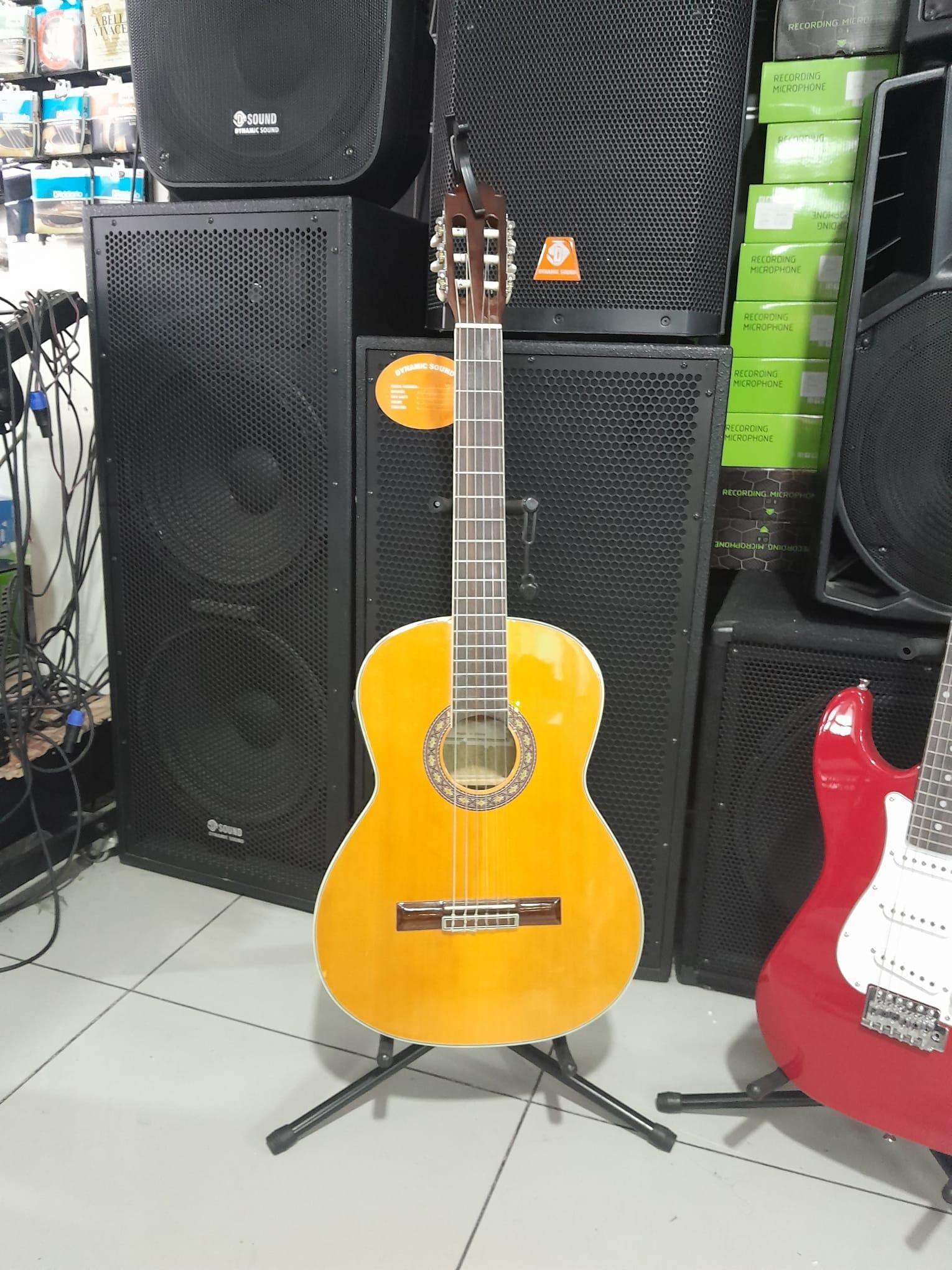 Musikinstrumente und Schallplatten